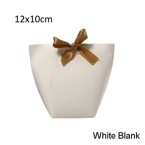Blank Kraft Paper Gift Bags with Ribbon 10 Pack Party Favor Bags