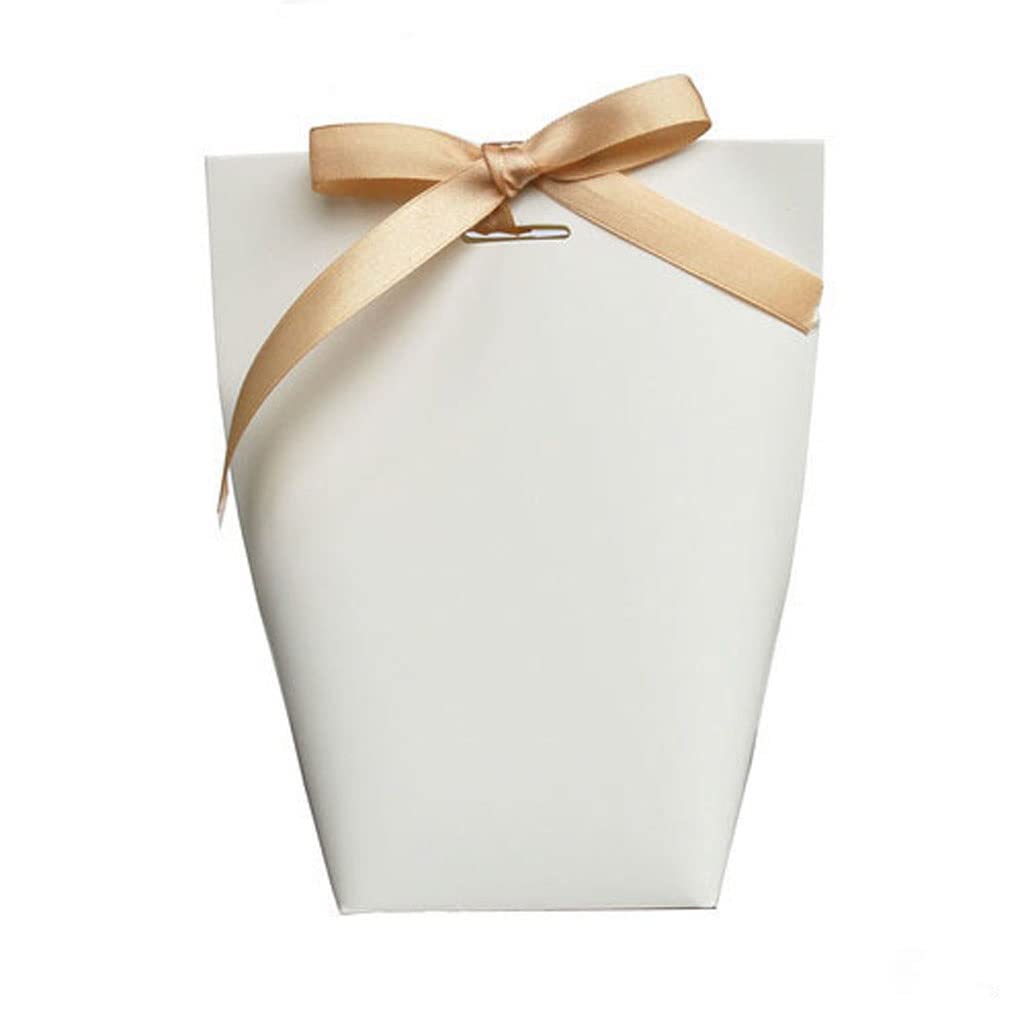 Blank Kraft Paper Gift Bags with Ribbon 10 Pack Party Favor Bags