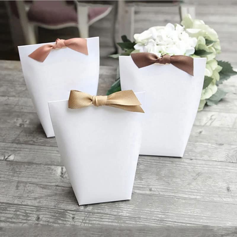 Blank Kraft Paper Gift Bags with Ribbon 10 Pack Party Favor Bags