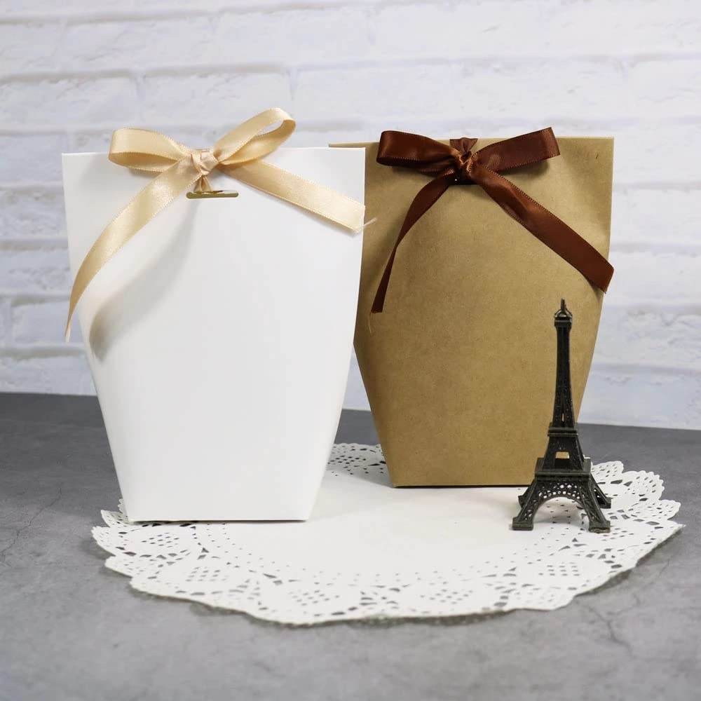 Blank Kraft Paper Gift Bags with Ribbon 10 Pack Party Favor Bags