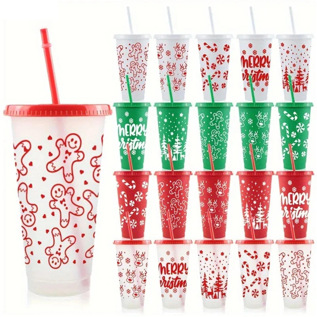 Reusable Plastic Straw Cup with Lid 24 Oz 710ML Party Tumbler